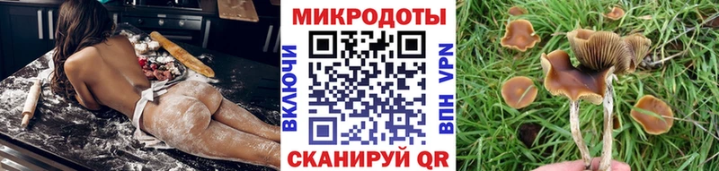 наркотики Березники Галлюциногенные грибы Psilocybe